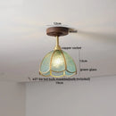 Axyaa Glass Wood LED Ceiling Lamp Nordic Living Room Light Fixtures