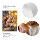 Autumn Forest Squirrel Landscape Canvas Wall Art Print Home Decor by Axyaa