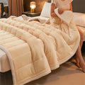 Axyaa Cozy Coral Fleece Blanket - Soft Fluffy Velvet Throw for Bed & Sofa