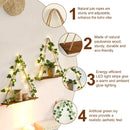 Axyaa Hanging Ivy Wall Shelf for Home Decor and Plant Display