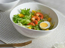Axyaa 8.5-inch Slanted Salad Bowl & Fruit Plate Ceramic Soup Bowl
