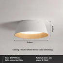 Axyaa Nordic LED Ceiling Light - Modern Home Decoration, Indoor Lighting Fixtures