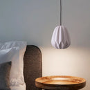 Axyaa Nordic Creative Pendant Light for Dining Room and Bedroom