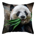 Axyaa Koala Panda Polyester Pillow Cover 45x45cm