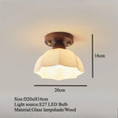 Axyaa Modern LED Ceiling Light for Home Decor in Living Dining Bedroom Kitchen