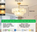 Axyaa Crystal Chandelier: Minimalist Living Room, Bedroom, and Restaurant Lighting