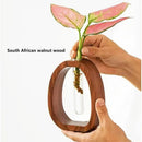Axyaa Walnut Wood Flower Stand Glass Vase for Creative Arrangements