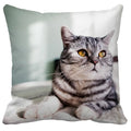 Axyaa Cute Cat Pillowcase Bubble Black  Kids Gift Decor Custom