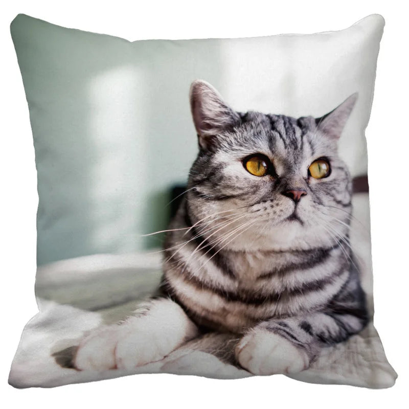 Axyaa Cute Cat Pillowcase Bubble Black  Kids Gift Decor Custom