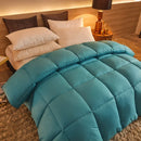 Axyaa Winter Down Duvet Comforter for Double Single Bed Warm Thick Blanket