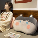 Axyaa Cartoon Nap Pillow - Soft Belly Pillow for Students, Male and Female.