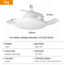 Axyaa Ceiling Fan Light with Remote Control and Dimming