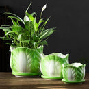 Axyaa Cabbage Flowerpot: Creative Cartoon Vegetable Basin with Tray - Garden Vase
