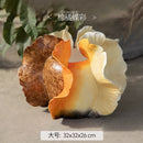 Axyaa Ceramic Artistic Vase for Flowers and Hydroponics