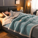 Axyaa Thick Milk Velvet King Size Fleece Sherpa Blanket for Winter Warmth