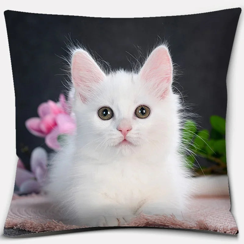Cute Cat Series Pillowcase for Home Decor by Axyaa