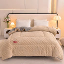 Axyaa Winter Coral Fleece Queen Size Blanket: 220x240cm Warm Faux Lamb Wool Quilt