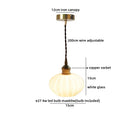 Axyaa Glass Lampshade Pendant Chandelier LED Lighting for Bedroom and Living Room