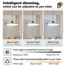 Axyaa Walnut LED Pendant Light for Home Decor and Lighting
