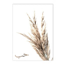 Ayat Al Kursi Canvas Art Painting Bohemia Pampas Grass Poster by Axyaa