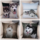 Axyaa Siberian Husky Pet Sofa Cushion Cover - Cute Dog Print Pillowcase Decor