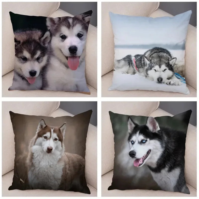 Axyaa Siberian Husky Pet Sofa Cushion Cover - Cute Dog Print Pillowcase Decor