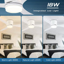 Axyaa LED Ceiling Fan Light Remote Control Kitchen Living Room Minimalist Home Decor