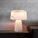 Axyaa High-End Art Desk Lamp for Luxury Living Room and Bedroom
