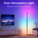 Axyaa Modern RGB LED Floor Lamp for Home Decoration