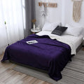 Axyaa Nordic Light Luxury Lamb Wool Flannel Double Layer Thick Quilt Blanket