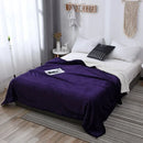 Axyaa Nordic Light Luxury Lamb Wool Flannel Double Layer Thick Quilt Blanket