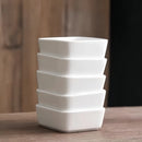 Axyaa White Ceramic Square Dish Plate for Hotel Restaurants, Molecular Cuisine Flavor Plate