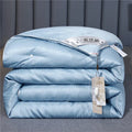 Axyaa Mulberry Silk Quilt Luxury Comforter All Season Double King Queen Duvet