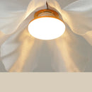 Axyaa Acrylic Petal LED Pendant Lamp Nordic Highend Chandelier