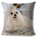 Maltese Dog Pillow Cover by Axyaa - Decorative Cushion Case for Home and Car