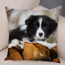 Scottish Border Collie Pillowcase - Axyaa Dog Print Decor Cushion Cover