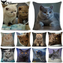 Axyaa Fold Ear Cat Pillow Covers - Set of 2 Cute Pet Pillowcases