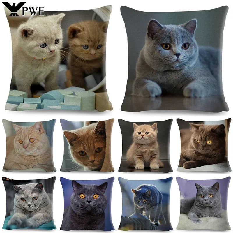 Axyaa Fold Ear Cat Pillow Covers - Set of 2 Cute Pet Pillowcases