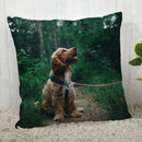 Axyaa Cocker Spaniel Sofa Cushion Cover - Creative and Simple Home Decor