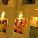 Axyaa Photo Clip Fairy Lights: Festive USB/ Battery Operated String Lights for Decor