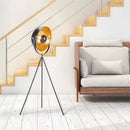 Axyaa Adjustable Tripod Floor Lamp for Home Decor & Photo Studio