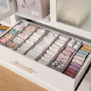 Axyaa Clothing Storage Box Drawer Organizer for Socks, Pants, Clothes - Bedroom Wardrobe Solution