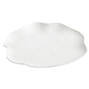 Axyaa White Ceramic Molecular Cuisine Plate Steak Salad Dessert Dish