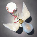 Axyaa White Feathers LED Wall Light for Home Decor