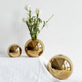 Golden Ball Ceramic Vase by Axyaa: Elegant Home Decor, Artistic Flower Pot, Hydroponic Art Ornament.