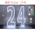 Axyaa Neon Double Digit Acrylic Digital Light for Birthday Party