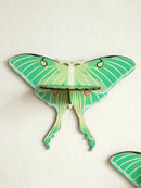 Axyaa Green Butterfly Crystal Wall Shelf - Elegant Home Decor & Storage Solution