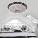 Axyaa Glass Art Ceiling Lights LED Chandelier for Home Decor