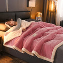 Axyaa Thick Milk Velvet King Size Fleece Sherpa Blanket for Winter Warmth