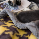Axyaa Heavy Winter Fleece Plush Blanket: Silky Soft Korean Mink, 2 Ply Reversible Gray